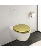 Siège WC Aldeno doré/argenté - couvercle: 37 x 41 cm|anneau extérieur: 38 x 41 cm|anneau intérieur: 23 x 26.5 cm|distance de fixation: 13 - 18 cm